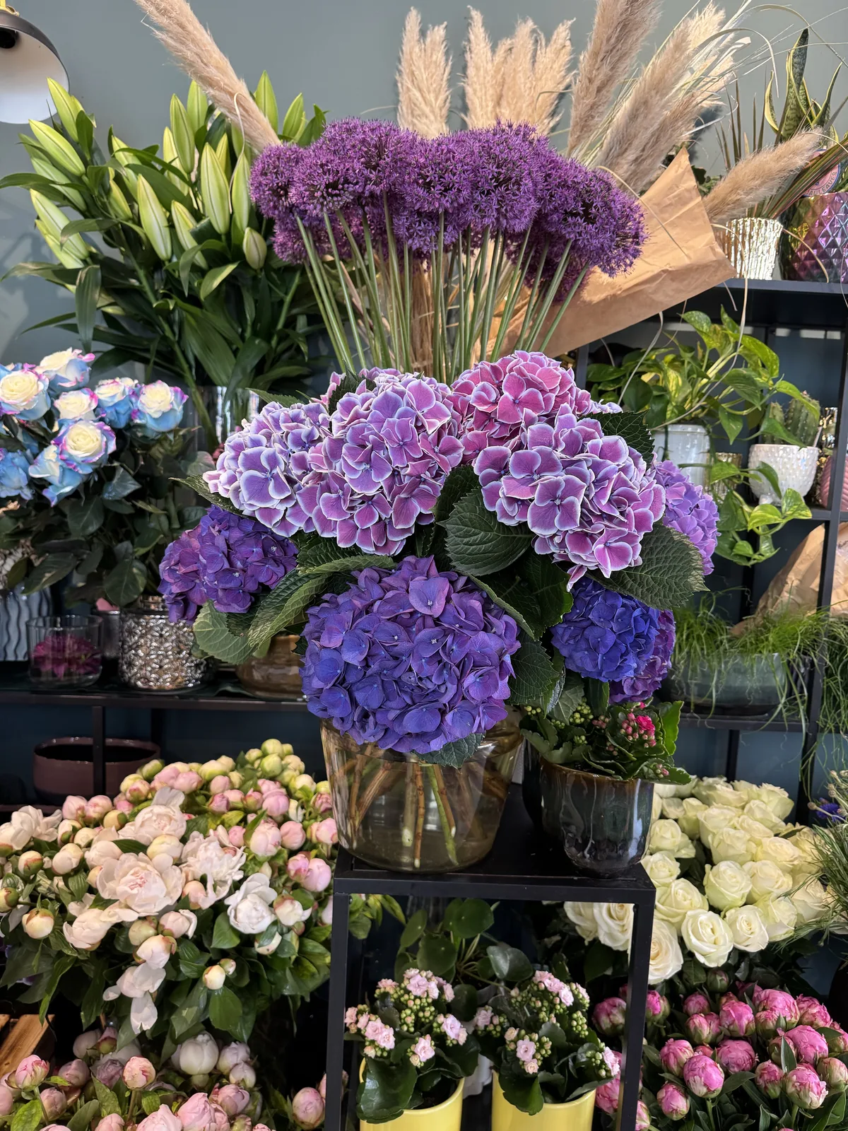 Violette Hortensien und Allium im Blumenladen
